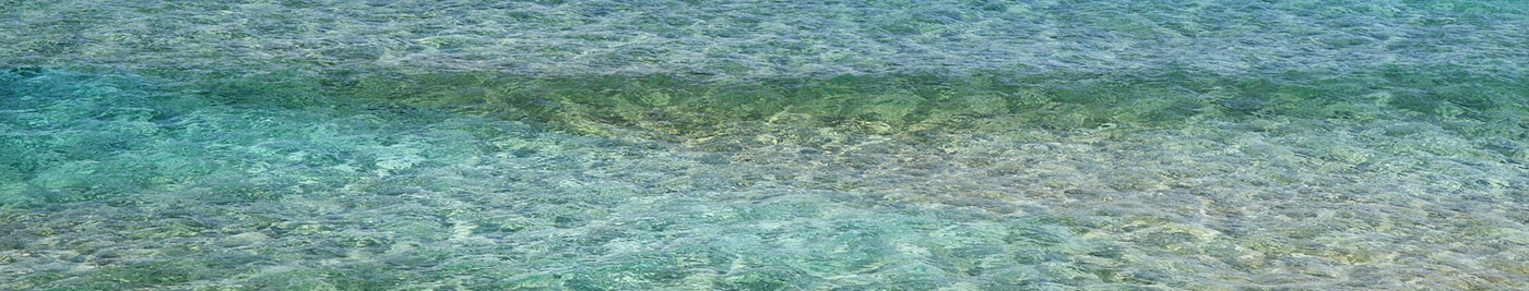 Fisioterapia Castell&oacute;n Teresa G&oacute;mez Vives, fisioterapeuta