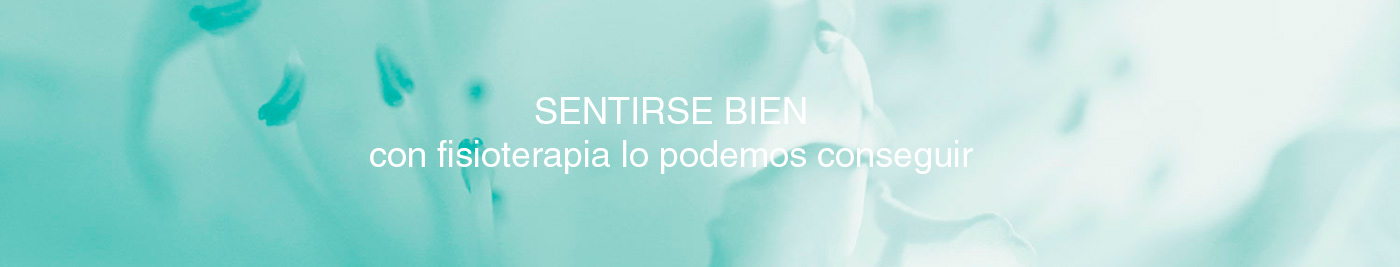 Fisioterapia Castell&oacute;n Teresa G&oacute;mez Vives, fisioterapeuta